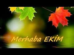 fatma ile burc yorumlari panosundaki pin