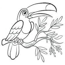 🖍 over 6000 great free printable color pages. Birds Free Printable Coloring Pages For Kids