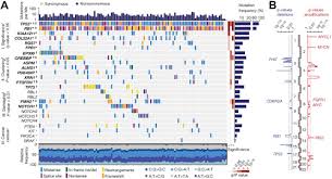 Signs and symptoms of small cell lung cancer, anemia in people with cancer. international journal of cancer : Small Cell Lung Cancer Can Recent Advances In Biology And Molecular Biology Be Translated Into Improved Outcomes Journal Of Thoracic Oncology