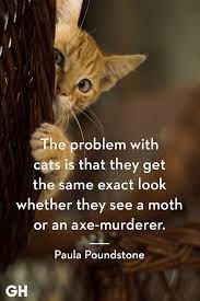 Catch 22 Cat Quotes Sum Up Cats Purr Fectly Cat Quotes Funny Cat Quotes Cute Cat Quotes