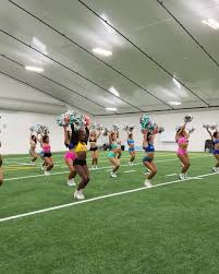 Miami Dolphins Cheerleaders (@dolphinscheer) - Instagram