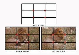 A number of 'rules of composition' or guidelines exist that we can use to improve our images. Introduction To Painting Art Composition Rules