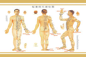 Buy Tcm Acupuncture Meridian Chart Wall Charts Tcm Medical