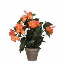 Check spelling or type a new query. Artificial Plant Orange Hibiscus Mica Buy Artificial Plant Orange Hibiscus Mica