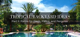 +110 hot tub in backyard ideas. Tropical Backyard Ideas Part 2 Palms For Pools Patios Pergolas