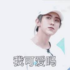 ãè¡å¾å¤ è¡¨æå PPAPãçåçæå°çµæ