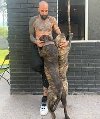 Babo” de Cártel de Santa sufrió el robo de su camioneta y su mascota: así  detuvieron al responsable - Infobae