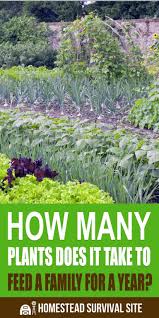 How Many Plants Does It Take To Feed A Family For A Year Organic Gardening Tips Plants Organic Vegetable Garden