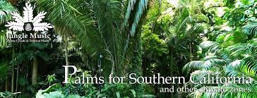 Maybe you would like to learn more about one of these? Recommended Palm Tree Species For Southern California