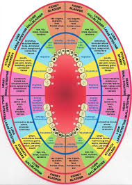 Tooth Body And Disease Linked Chart Health And Fitness