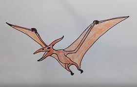 How To Draw A Pterodactyl From Jurassic World Https Htdraw Com Wp Content Uploads 2018 04 How To Draw A Pterodactyl Drawings Easy Drawings Dinosaur Sketch Large collections of hd transparent pterodactyl png images for free download. how to draw a pterodactyl from jurassic