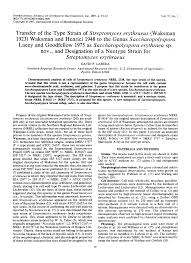 Transfer of the Type Strain of Streptomyces erythraeus (Waksman 1923)  Waksman and Henrici 1948 to the Genus Saccharopolyspora La