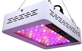 When you buy a mars hydro 600w led full spectrum grow light online from wayfair, we make it as easy as possible for you to find out when your product will be delivered. Marshydro 300w Led Grow Light Review Buy Or Avoid