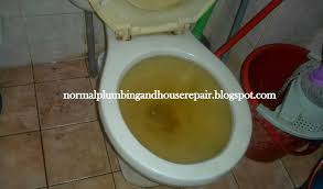Terdapat berbagai macam cara mengatasi hidung tersumbat alami dan efektif yang bisa dicoba, mulai dari mandi air hangat, minum air dengan cukup, hingga menggunakan kompres hangat. Normal Plumbing Tandas Tersumbat