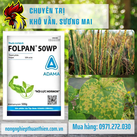 Folpan 50WP