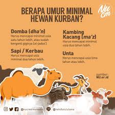 Durchgang verboten schild download : Islam Nusantara On Twitter Hari Raya Idul Adha Akan Sebentar Lagi Kita Rayakan Bagaimana Persiapan Kalian Untuk Menyediakan Hewan Kurban Terbaik Berikut Kami Sajikan Umur Minimal Hewan Kurban Dalam Infografis Berikut Nu