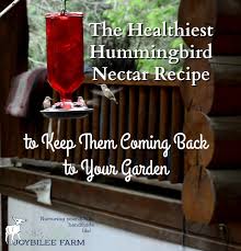You can make homemade nectar with table sugar and water at about the same ratio as a treat to attract these feathered friends. The Healthiest Hummingbird Nectar Recipe So They Ll Come Back Next Year