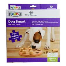 Outward Hound Orange Smart Round Puzzle Dog Toy Large Petco