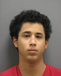 Oakton Teen Sentenced in Drug Deal