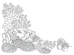 Simple coral reef drawing 17. Coral Reef Easy Simple Underwater Drawing Novocom Top