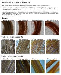 See full list on wikihow.com Henna For Hair Henna On Blonde Hair Free Guide To Henna On Blonde Hair Hennacat