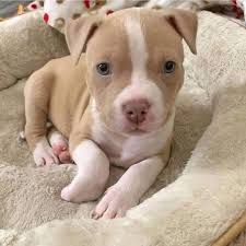 So my baby has her time of the month any suggestions.