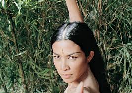 Maka, versi filem memaparkan yang puteri gunung ledang sebenarnya puteri gusti putri raden adjeng retno dumillah dari majapahit di pulau jawa yang merajuk dan membawa diri ke gunung ledang. Film Szenenbild Bilder The Princess Of Mount Ledang Puteri Gunung Ledang 2004 Movies Outnow