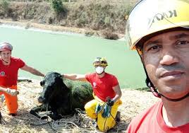 Câmeras mostram furto de moto em estacionamento de empresa e, dono pede  ajuda para encontrá-la; veja