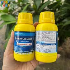 Priaxor 500SC.