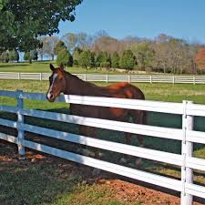 For More Information Click Here Http Fencing4horses Com Au Pferdezaune Hundezaun Bauernhof Zaun