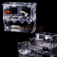 Has anyone here kept guppies with a betta? Chihiros Acrylic Suspending Hatch Baby Fish Box For Aquarium Guppy Betta Fishes Breeding Box Seperation Box Breed Aquariums Tanks Aliexpress