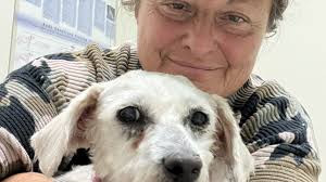 Local rescuer recounts horrific puppy attack, pleading for justice and more  resources in Yakima