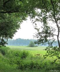 Pin By De Biezen On Kamperen In De Natuur In 2020 Modern Landscape Painting Modern Landscaping Landscape Paintings