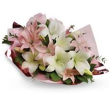 Using the wonderful team at urban flower, sydney, over many years has been an absolute pleasure. Flower Delivery Sydney Send Flowers To Sydney Oz Flower Delivery