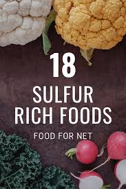 Sulfur is part of proteins. 18 Sulfur Rich Foods For You To Enjoy Regularly Food For Net