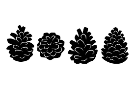 Maybe you would like to learn more about one of these? Pine Cone Silhouettes