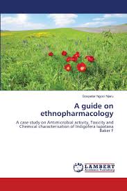 Image result for Indigofera lupatana