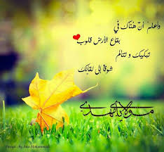 Pin By أفنان الحسني On السلام عليك يافرج الله Pictures We Need You World