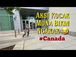 Terbaru 2020 Video Lucu Bikin Ngakak Warga 62 Canada S