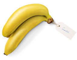 In 2019 tr 4 was confirmed in colombia, marking the first appearance of the strain in the. Australian Bananas All About Bananas The Banana Story