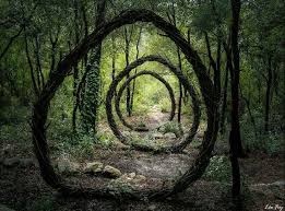 Spencer Byles A Passe Douze Mois A Arpenter Les Forets De La Colle Sur Loup Villeneuve Loubet Et Mougins Toutes Situees Dans Forest Art Land Art Outdoor Art