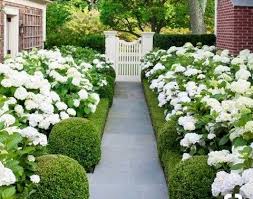 We provide expert landscaping services near me, including garden and landscaping design and installation, mulching, mowing, and more. Gardener Near Me Gardening Truro Garden Design