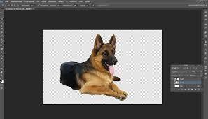 как вырезать объект и вставить на другой фон в фотошопе Novyjl Kak V Fotoshope Vyrezat Obekt I Vstavit Na Drugoj Fon Podrobnaya Instrukciya Pandora Screenshot Screenshots