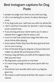 Unused Captions For Your Dog S Instagram Woof Woof Woof In 2020 Good Instagram Captions Dog Instagram Captions Cute Instagram Captions