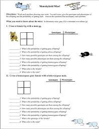 Four boxes are needed for the punnett square. Monohybrid Cross Problems Worksheet Algernonmacias S Blog
