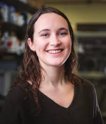 Design and Synthesis of Mesoporous Silica Templates for a Novel  Free-Standing Graphene Foam