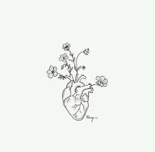Heart Tattoo Line Art Flowers Line Art Drawings Biology Art