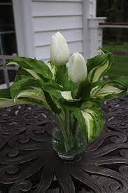 The Garden Appreciation Society Week 3 The Impatient Gardener Flower Arrangements Simple Flower Arrangements Center Pieces Flower Arrangements