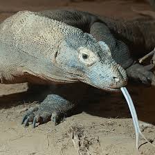 Jawaban lengkap quiz parampaa 1 dan 2 by hidayatullah mang. Quiz Readtheory