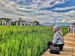 Tidak ada biaya masuk, alias gratis. Cafe Natural Kudus Review Harga Menu Fasilitas Lokasi